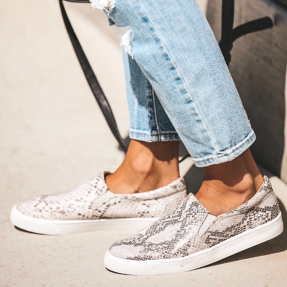 Snake skin slip on sneaker - Picture 4 of 6